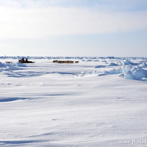 www.phototeam-nature.com-antognelli-Melville-expedition-traineau-chien-dog sled-groenland-greenland