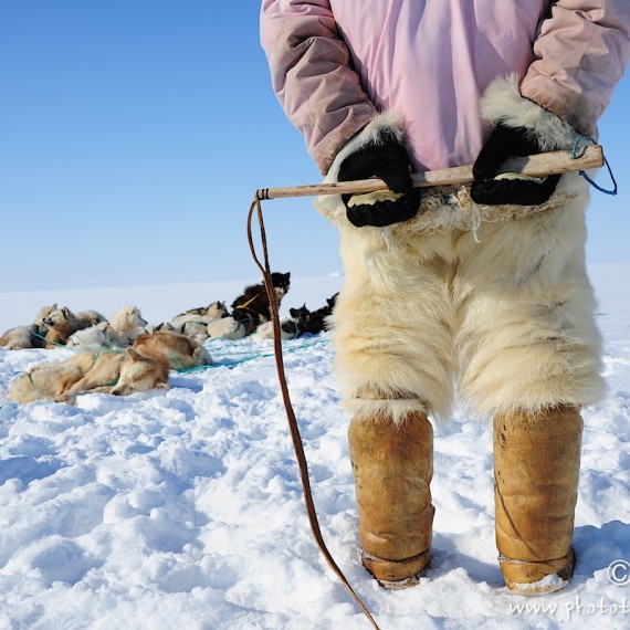 www.phototeam-nature.com-antognelli-Melville-expedition-traineau-sled-groenland-greenland