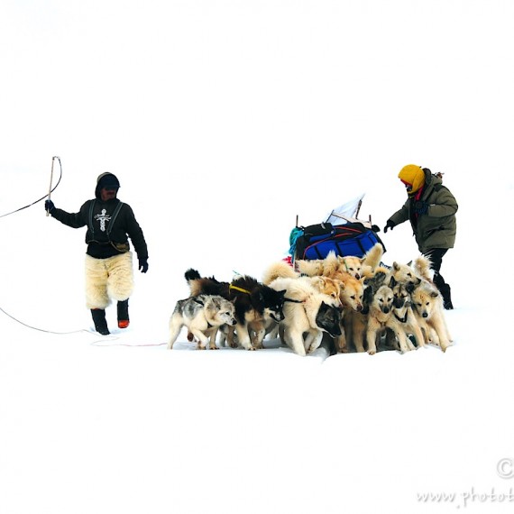 www.phototeam-nature.com-antognelli-Melville-expedition-traineau-chien-dog sled-groenland-greenland