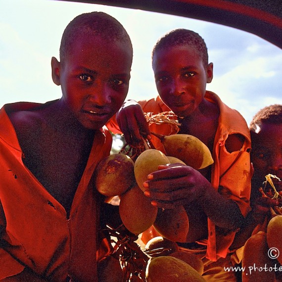 www.phototeam-nature.com-antognelli-zimbabwe