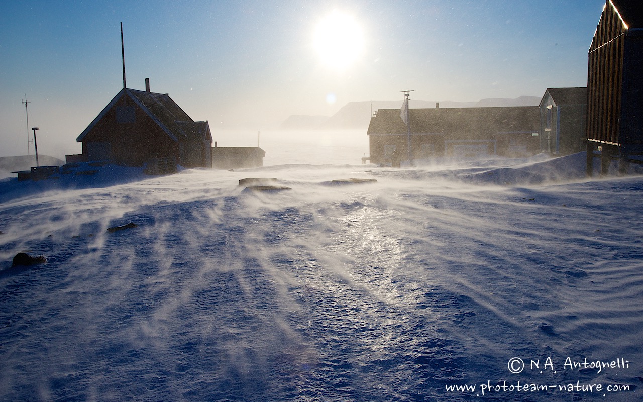 www.phototeam-nature.com-antognelli-greenland-savissivik-storm