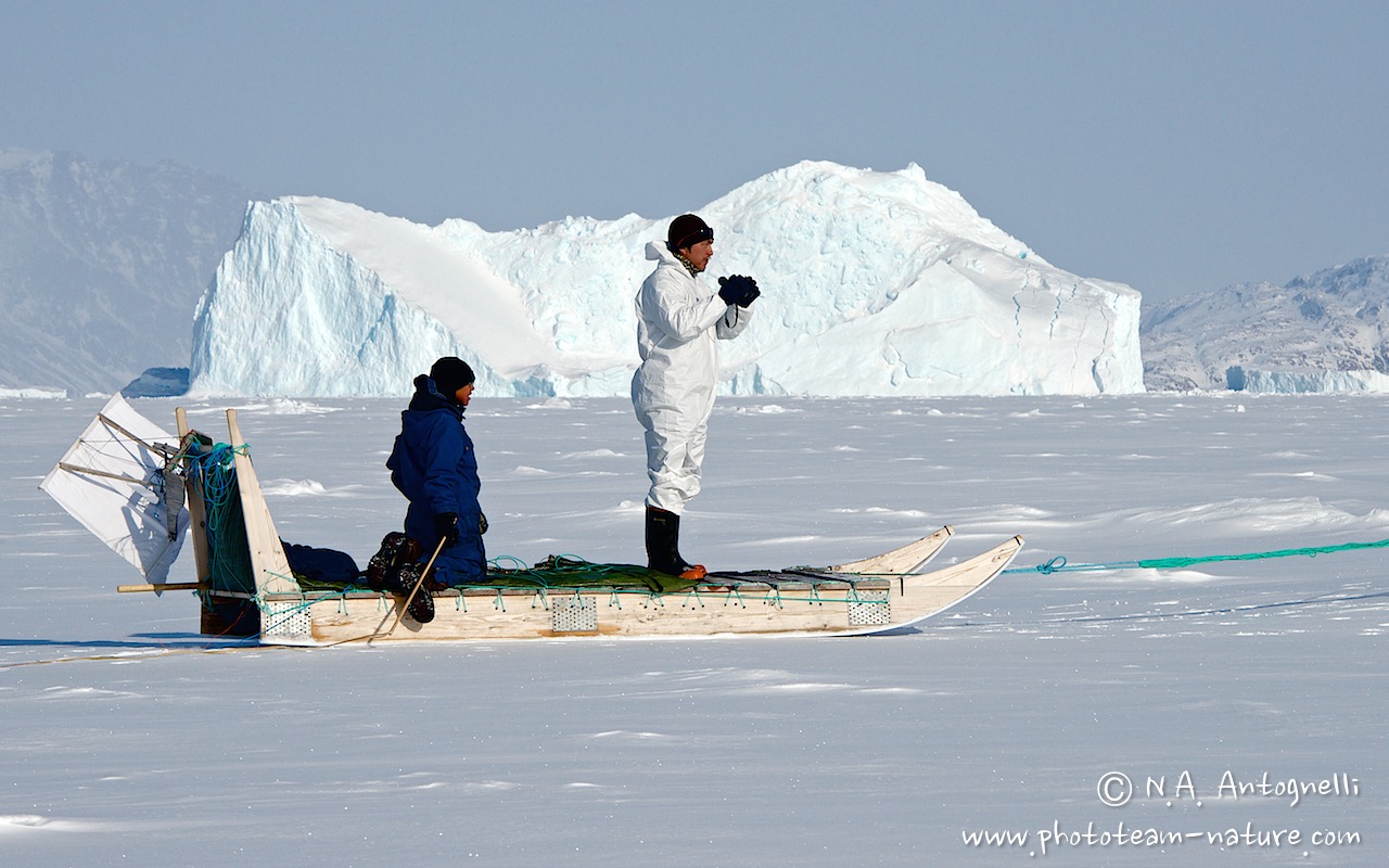 www.phototeam-nature.com-antognelli-greenland-nuussuaq-seal hunting