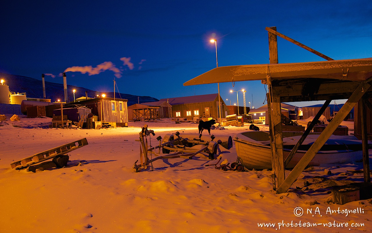 www.phototeam-nature.com-antognelli-greenland-qaanaaq-polar night