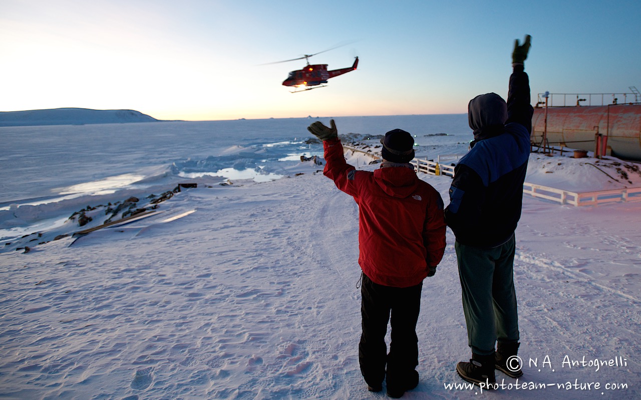 www.phototeam-nature.com-antognelli-greenland-savissivik