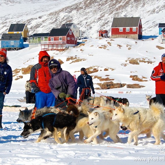 www.phototeam-nature.com-antognelli-greenland-nuussuaq-dos sled