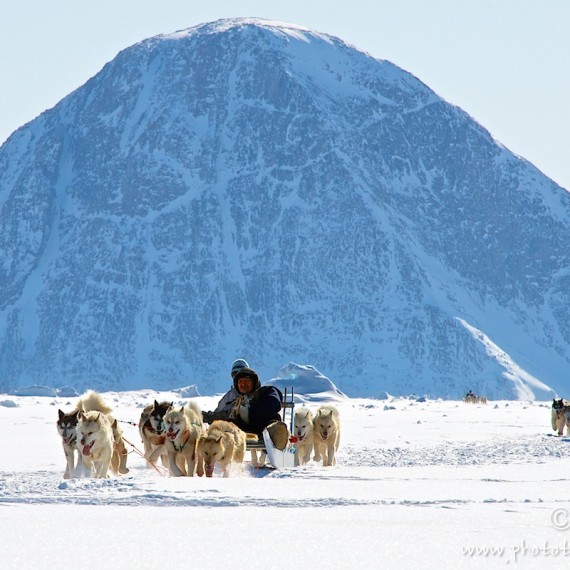 www.phototeam-nature.com-antognelli-greenland-nuussuaq-dog sled