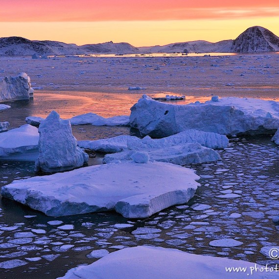 www.phototeam-nature.com-antognelli-greenland-nuussuaq