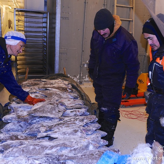 www.phototeam-nature.com-antognelli-greenland-nuussuaq-fisherman-halibut