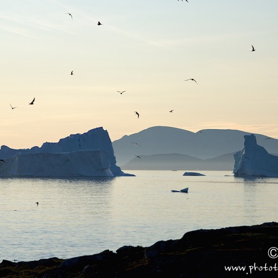 www.phototeam-nature.com-antognelli-greenland-kayak-expedition