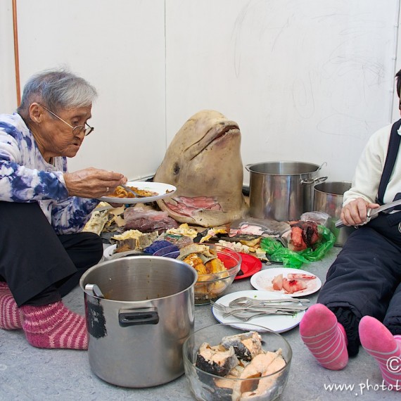 www.phototeam-nature.com-antognelli-greenland-nuussuaq-kaffemik