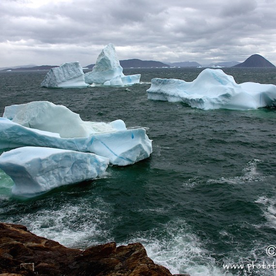 www.phototeam-nature.com-antognelli-greenland-iceberg