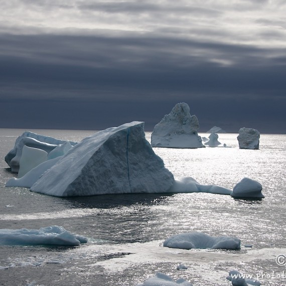 www.phototeam-nature.com-antognelli-greenland-iceberg