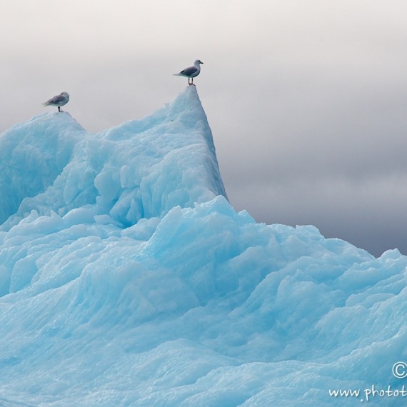 www.phototeam-nature.com-antognelli-greenland-kayak-expedition-iceberg