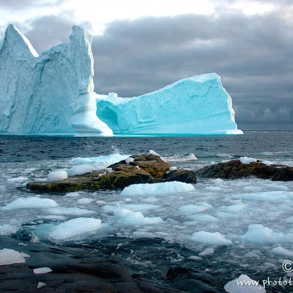 www.phototeam-nature.com-antognelli-greenland-iceberg