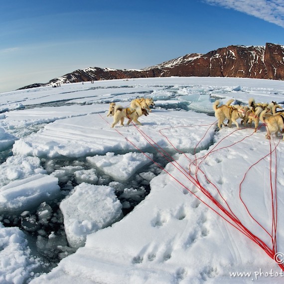 www.phototeam-nature.com-antognelli-greenland-nuussuaq-dog sled
