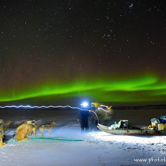 www.phototeam-nature.com-antognelli-greenland-dog sled-hunter-aurores boreales