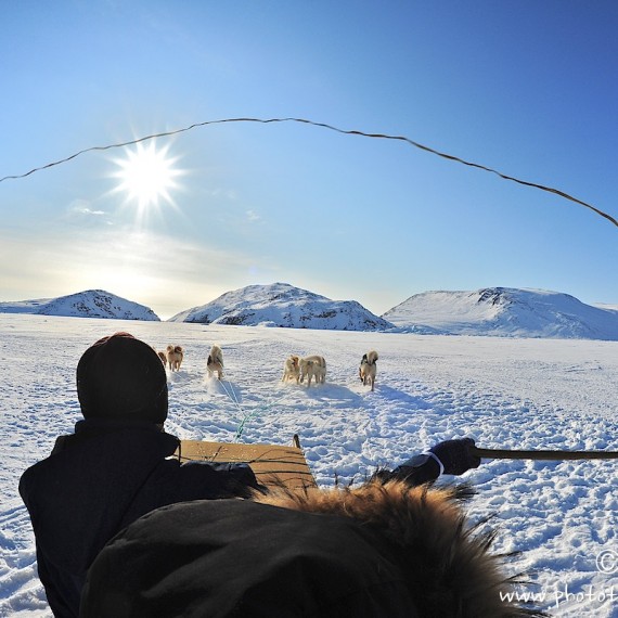 www.phototeam-nature.com-antognelli-greenland-nuussuaq-ice floe-dog sled-hunter