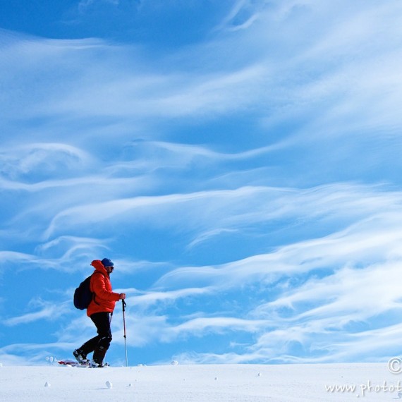 www.phototeam-nature.com-antognelli-greenland-nuussuaq