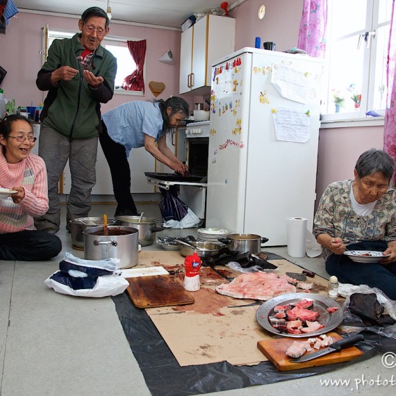 www.phototeam-nature.com-antognelli-greenland-nuussuaq-kaffemik