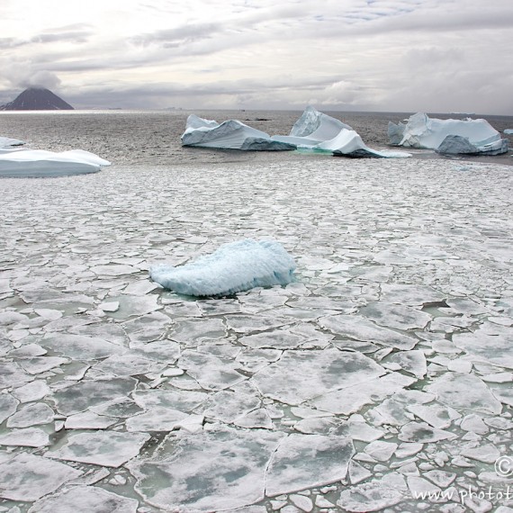 www.phototeam-nature.com-antognelli-greenland-nuussuaq