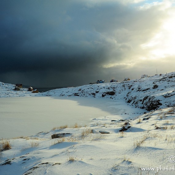 www.phototeam-nature.com-antognelli-greenland-nuussuaq