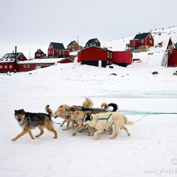 www.phototeam-nature.com-antognelli-greenland-nuussuaq