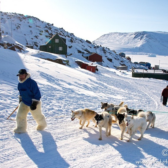 www.phototeam-nature.com-antognelli-greenland-nuussuaq