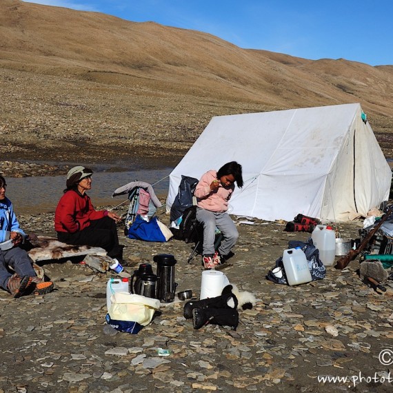 www.phototeam-nature.com-fish camp-greenland-antognelli-