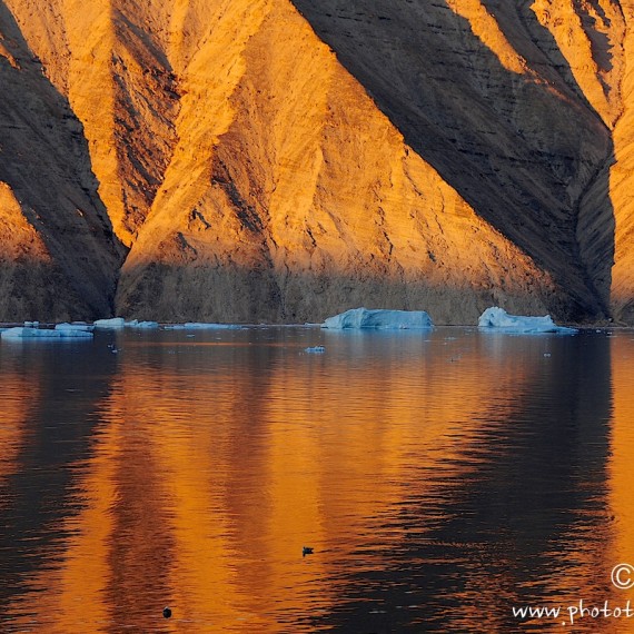 www.phototeam-nature.com-greenland-antognelli-