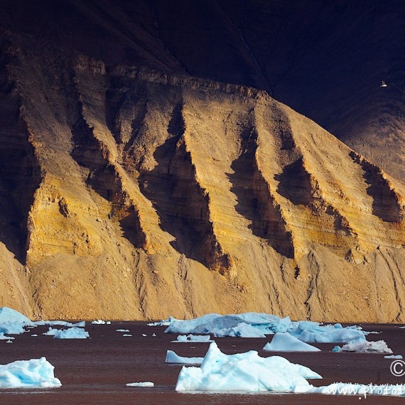 www.phototeam-nature.com-greenland-antognelli-