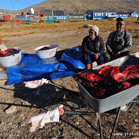 www.phototeam-nature.com-qaanaaq-greenland-antognelli-