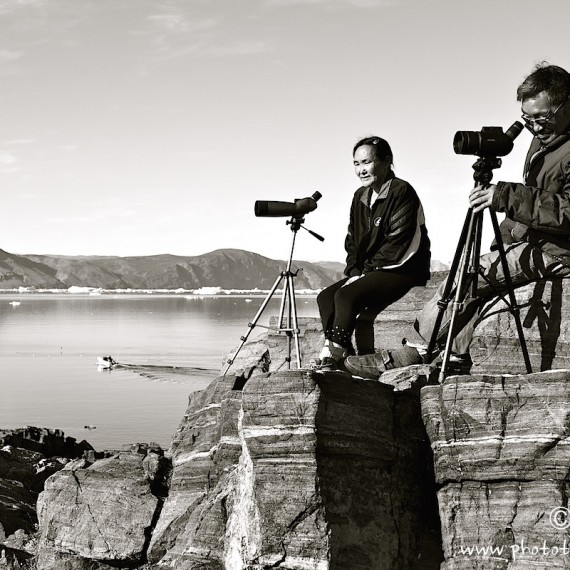 antognelli-www.phototeam-nature.com-greenland-qeqertat-