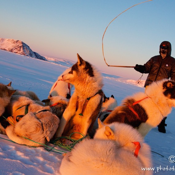 www.phototeam-nature.com-antognelli-groenland-greenland-l'ame de la banquise