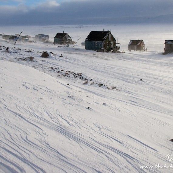 www.phototeam-nature.com-antognelli-groenland-greenland-l'ame de la banquise-savissivik