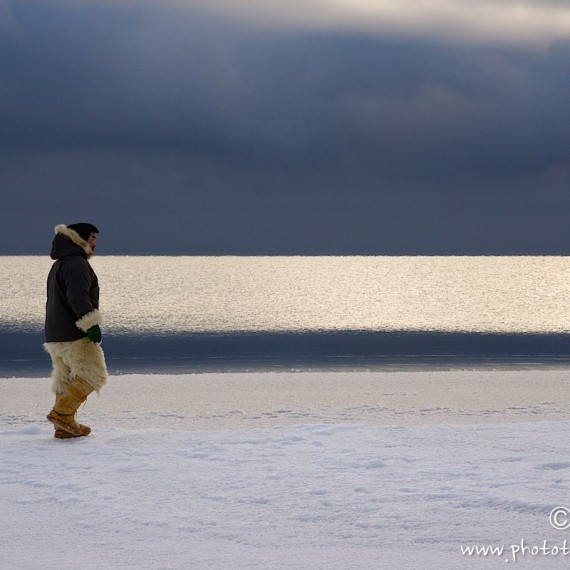 www.phototeam-nature.com-antognelli-groenland-greenland-l'ame de la banquise-banquise-mer