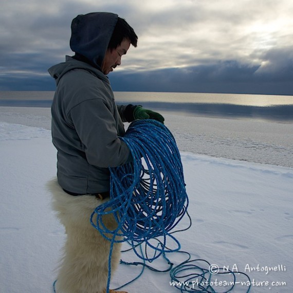 www.phototeam-nature.com-antognelli-groenland-greenland-