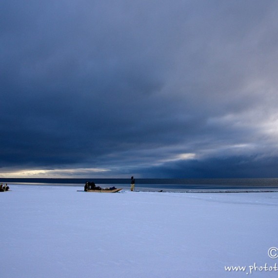 www.phototeam-nature.com-antognelli-groenland-greenland-