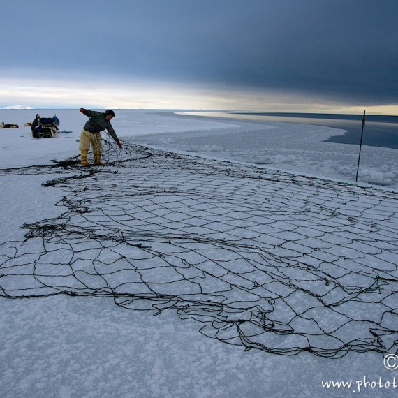 www.phototeam-nature.com-antognelli-groenland-greenland-