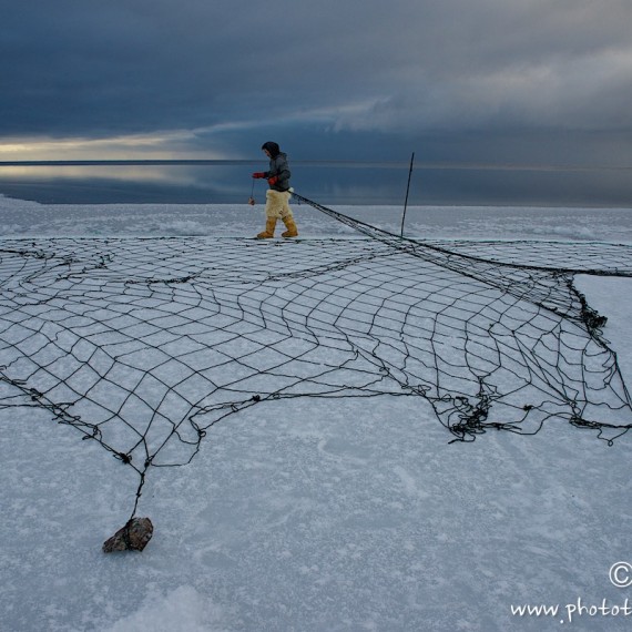 www.phototeam-nature.com-antognelli-groenland-greenland-