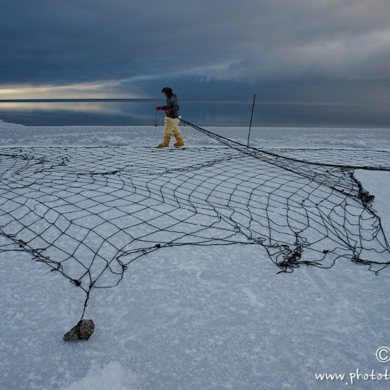 www.phototeam-nature.com-antognelli-groenland-greenland-