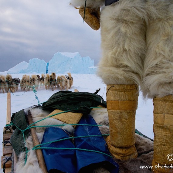 www.phototeam-nature.com-antognelli-groenland-greenland-