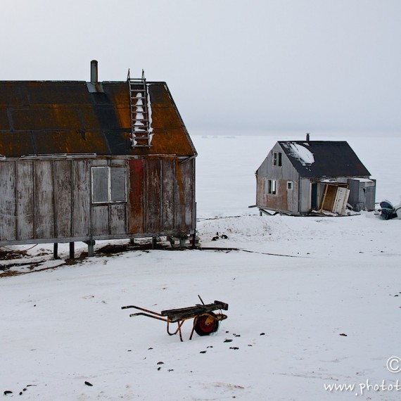 www.phototeam-nature.com-antognelli-groenland-greenland-savissivik-