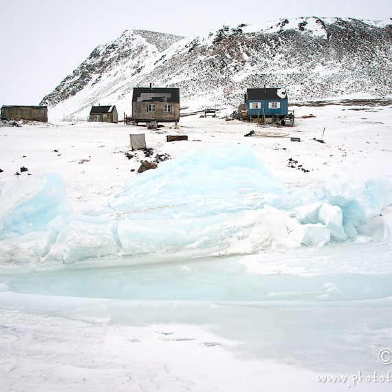 www.phototeam-nature.com-antognelli-groenland-greenland-savissivik-