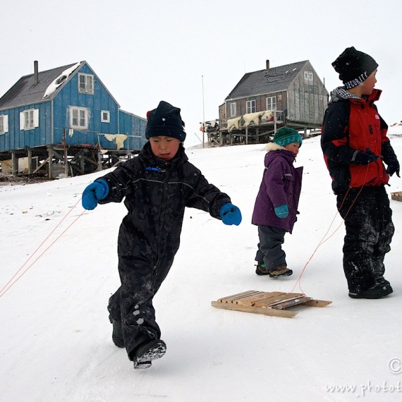 www.phototeam-nature.com-antognelli-groenland-greenland-savissivik-