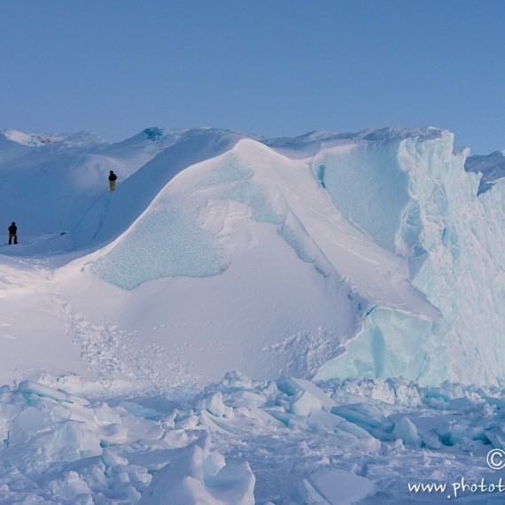 www.phototeam-nature.com-antognelli-groenland-greenland-savissivik-chasse-hunting-ours polaire-polar bear-nanoq